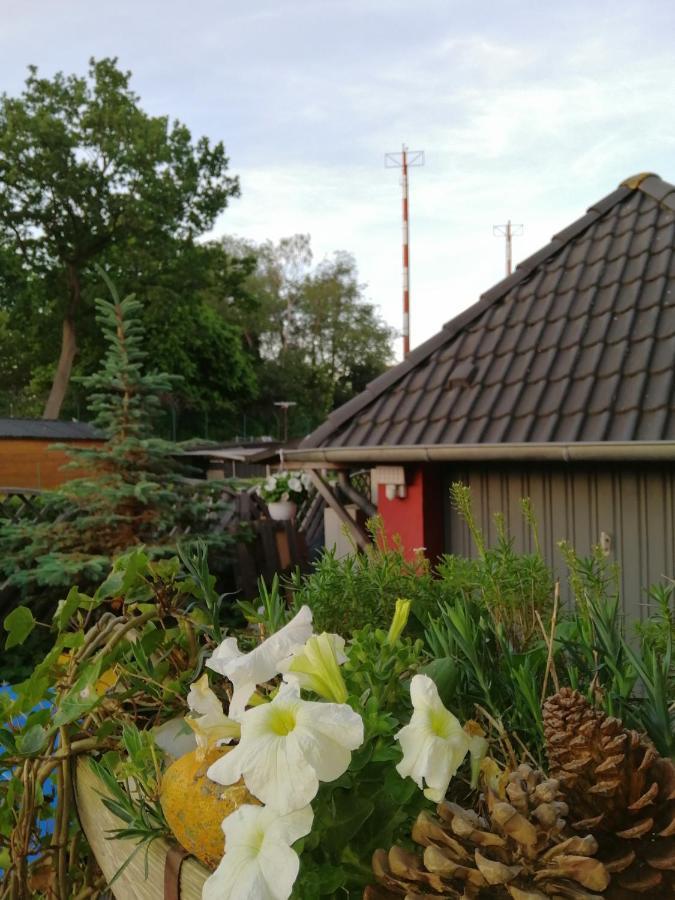 Backstage Apartment Kiel-Holtenau Eksteriør bilde